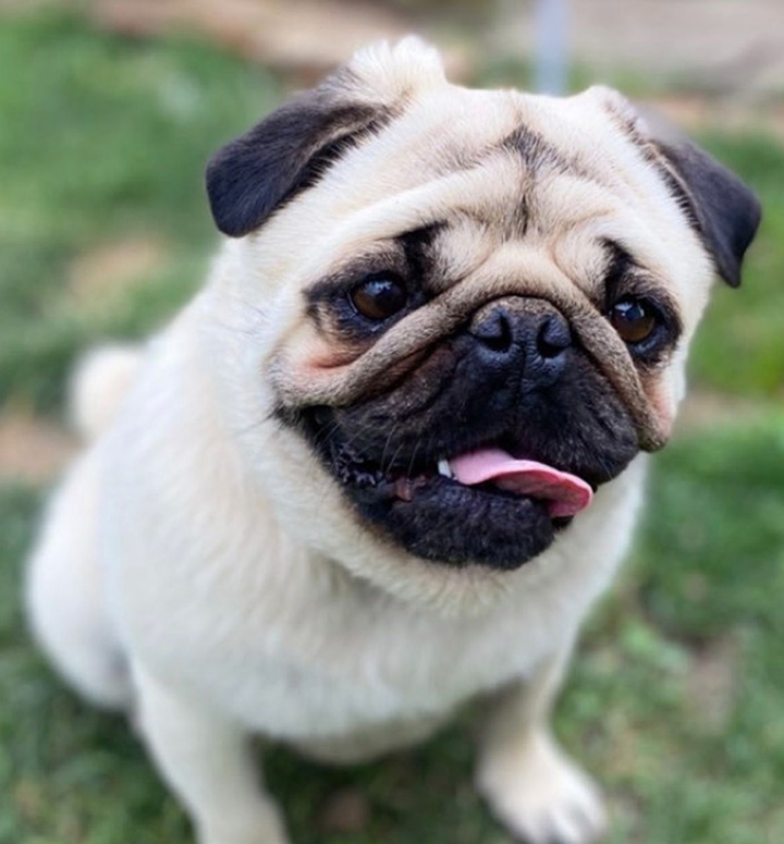 Max