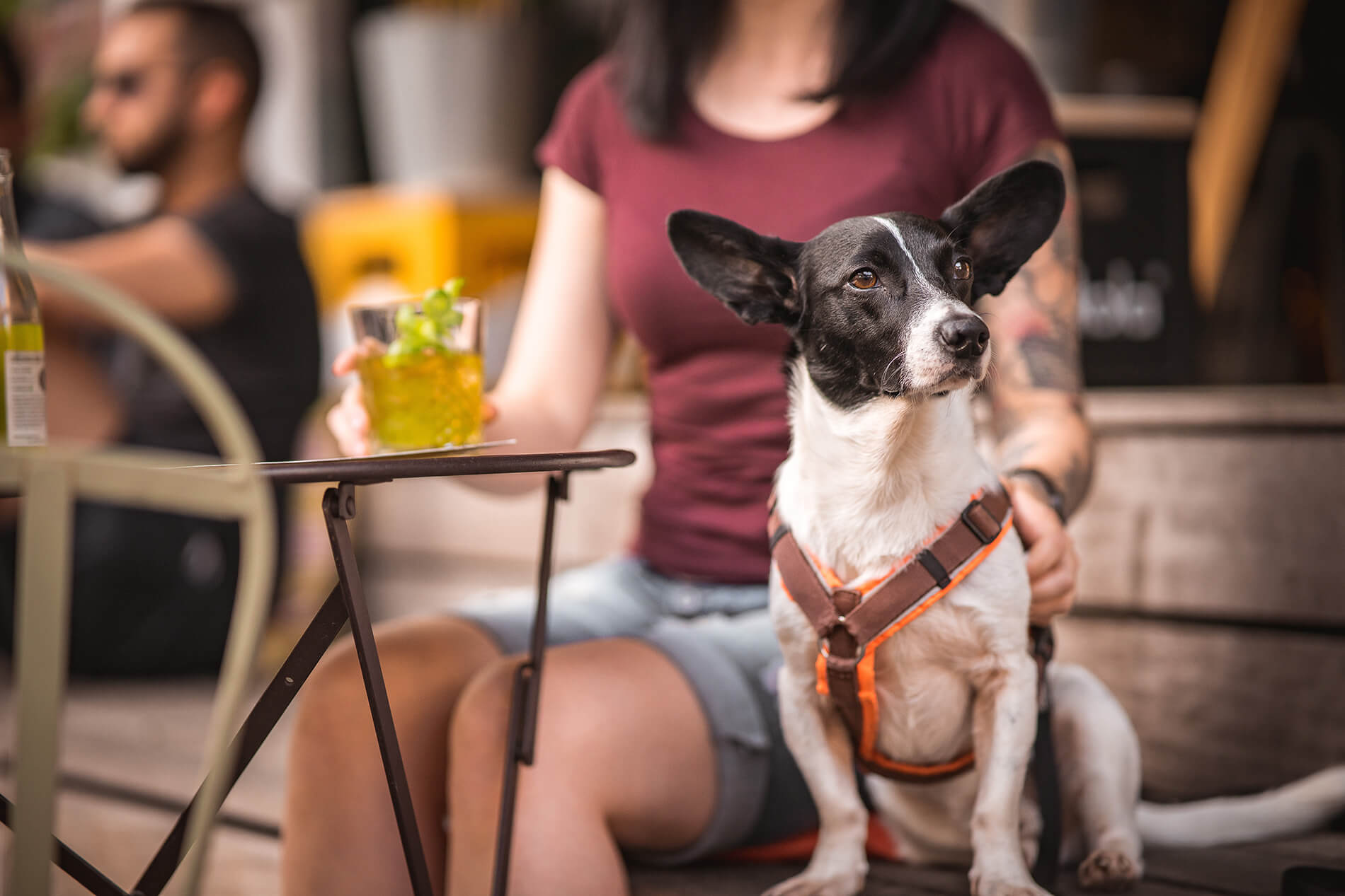 Entspannte Momente mit meinem Hund im Kunsthauscafé Graz