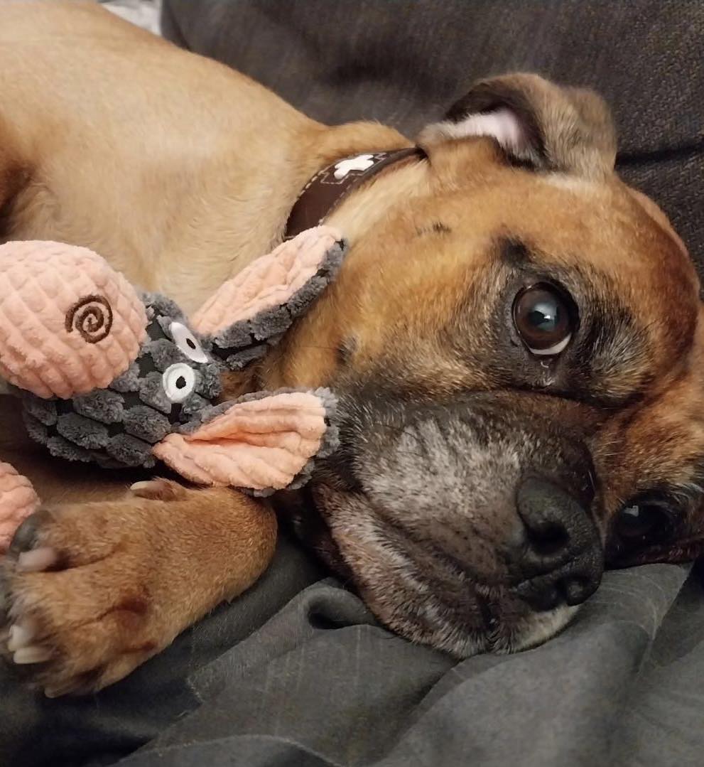 You are my best buddy!