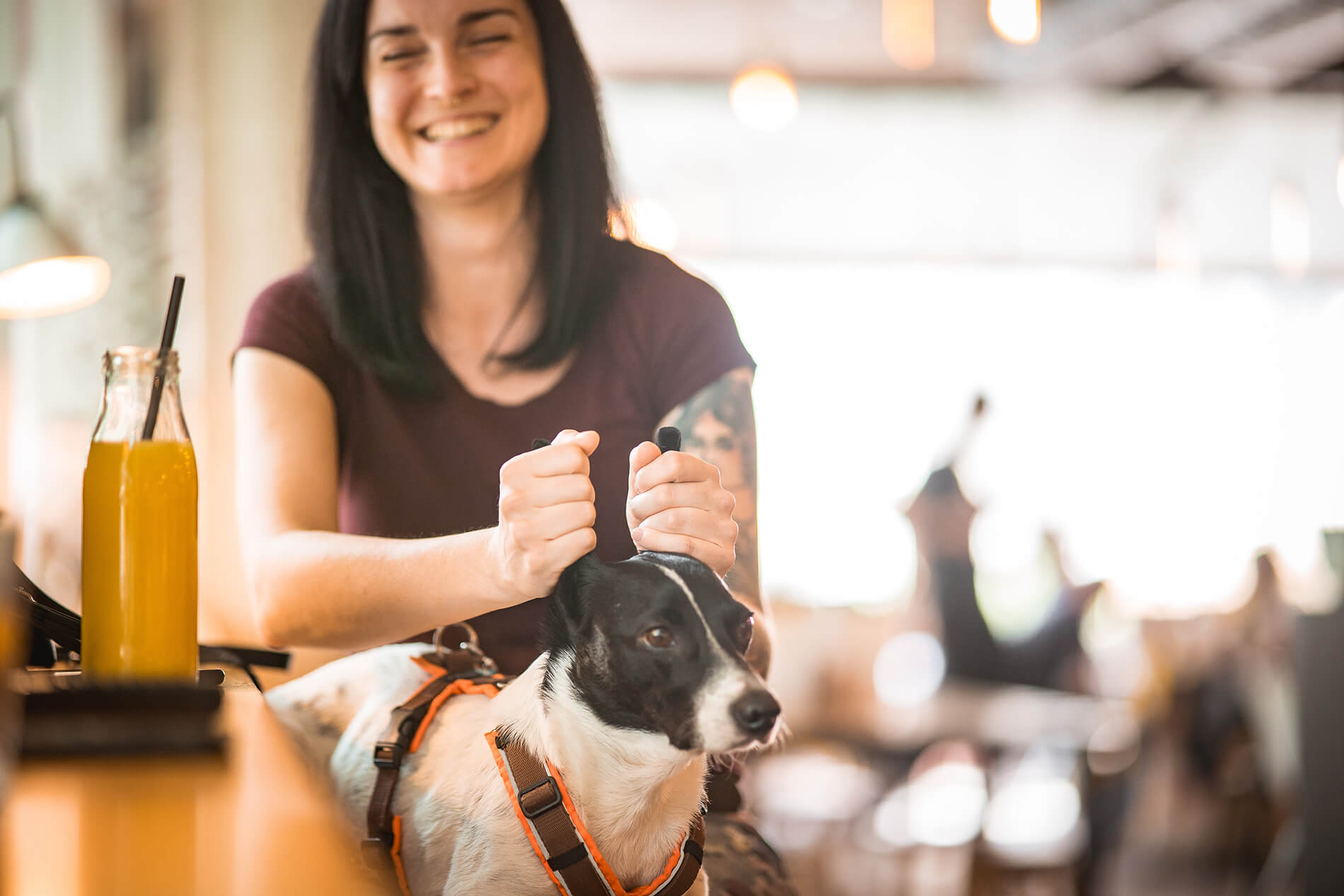 Meinem Hund in Kunsthauscafé Graz