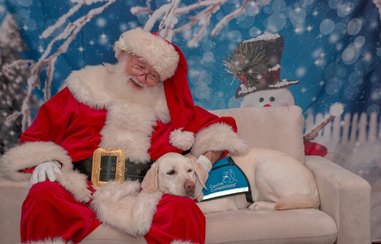 Hunde Klagenfurt