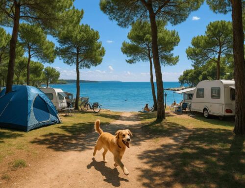Die 5 besten Campingplätze in Istrien mit Hund – Urlaub an der Adria