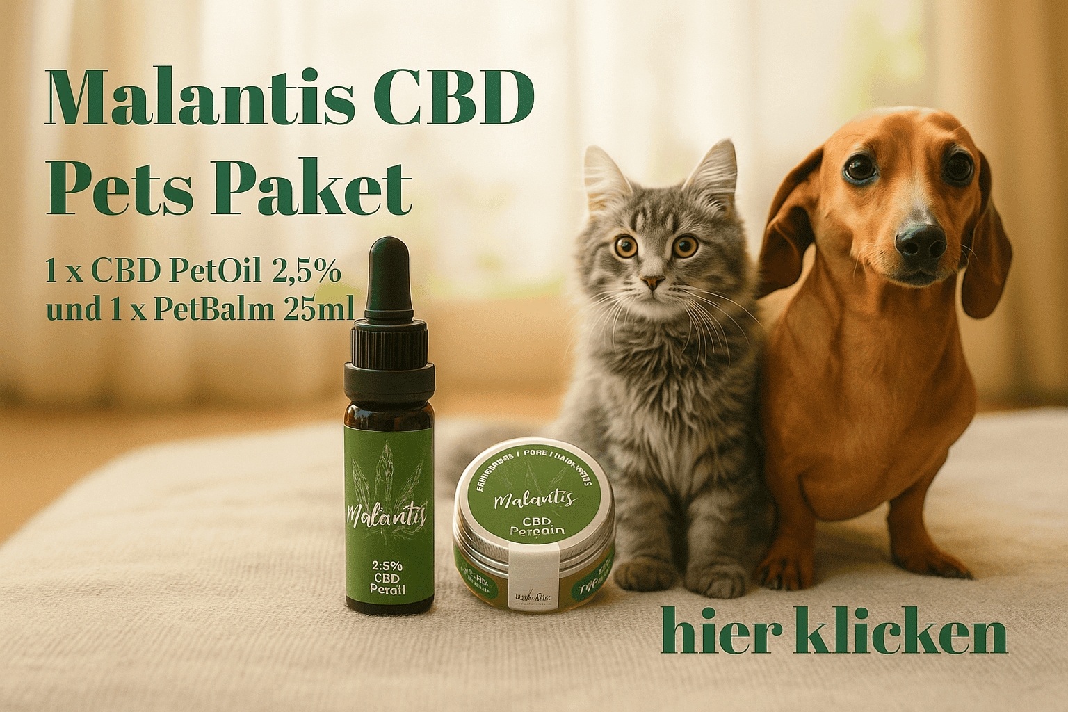 CBD-Produkte für Hunde und Katzen entdecken