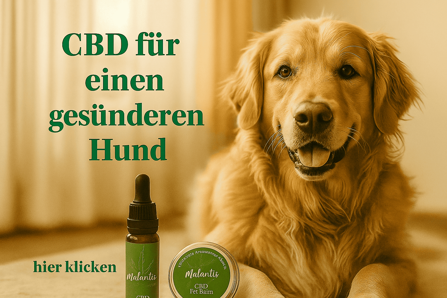 CBD Öl für Hunde zur Unterstützung der Gesundheit