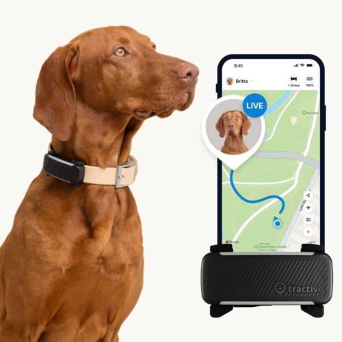 Tractive GPS Tracker DOG 6